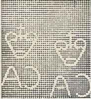 Cattle EgretĀ (Bubulcus ibis)